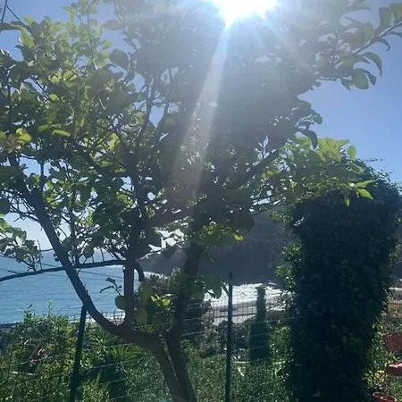 Cozy Beach House With Nice Garden, Basic Feel Apartment *