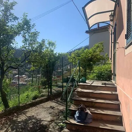 Cozy Beach House With Nice Garden, Basic Feel Apartment