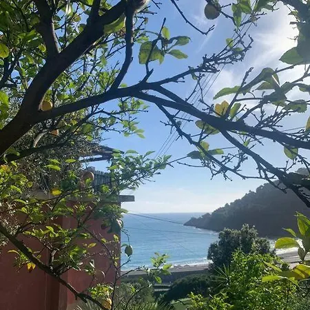 Cozy Beach House With Nice Garden, Basic Feel Apartment Bonassola