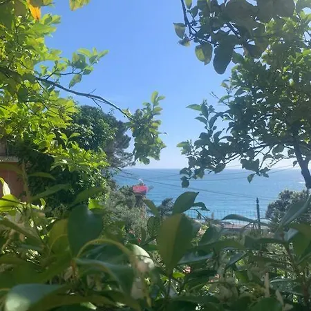 Cozy Beach House With Nice Garden, Basic Feel