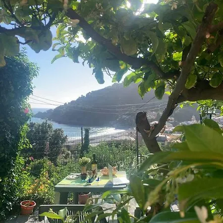 Cozy Beach House With Nice Garden, Basic Feel * בונאסולה