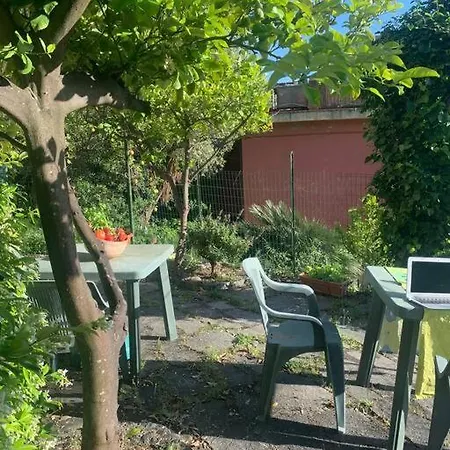 Cozy Beach House With Nice Garden, Basic Feel בונאסולה