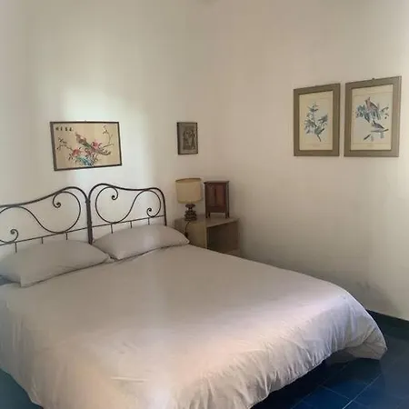 Apartment Cozy Beach House With Nice Garden, Basic Feel