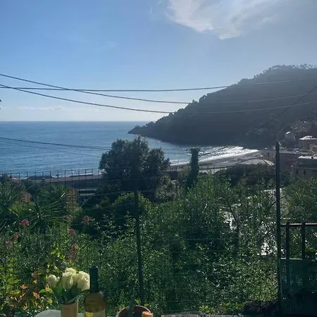 Cozy Beach House With Nice Garden, Basic Feel בונאסולה