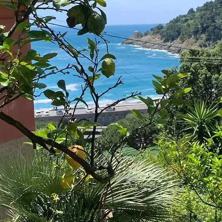 Cozy Beach House With Nice Garden, Basic Feel * Bonassola